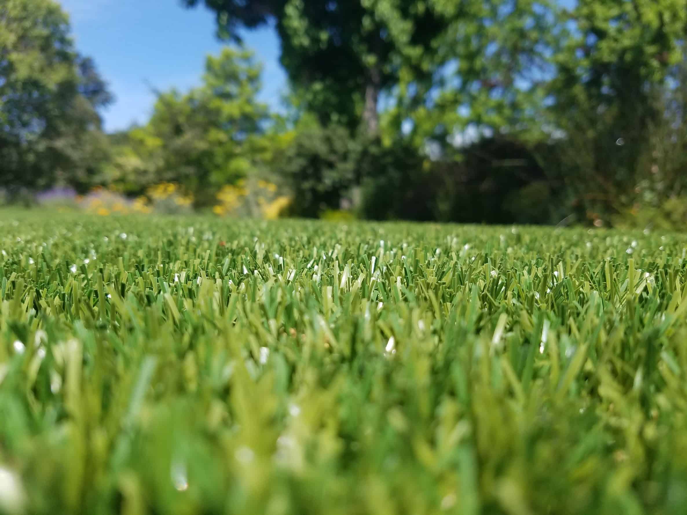 Why Our Artificial Grass is the Best EasyTurf Artificial Grass