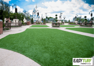 event lawn, theme park grass event lawns, theme park grass