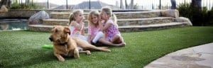 BBQ PICNIC AND PARTY IDEAS BBQ PICNIC AND PARTY IDEAS