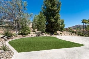 drought tolerant landscaping, artificial grass drought tolerant landscaping