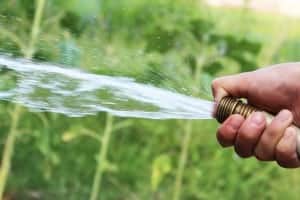 drought tolerant landscaping, artificial grass drought tolerant landscaping