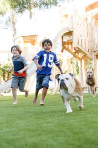 dog turf, artificial dog turf artificial dog turf